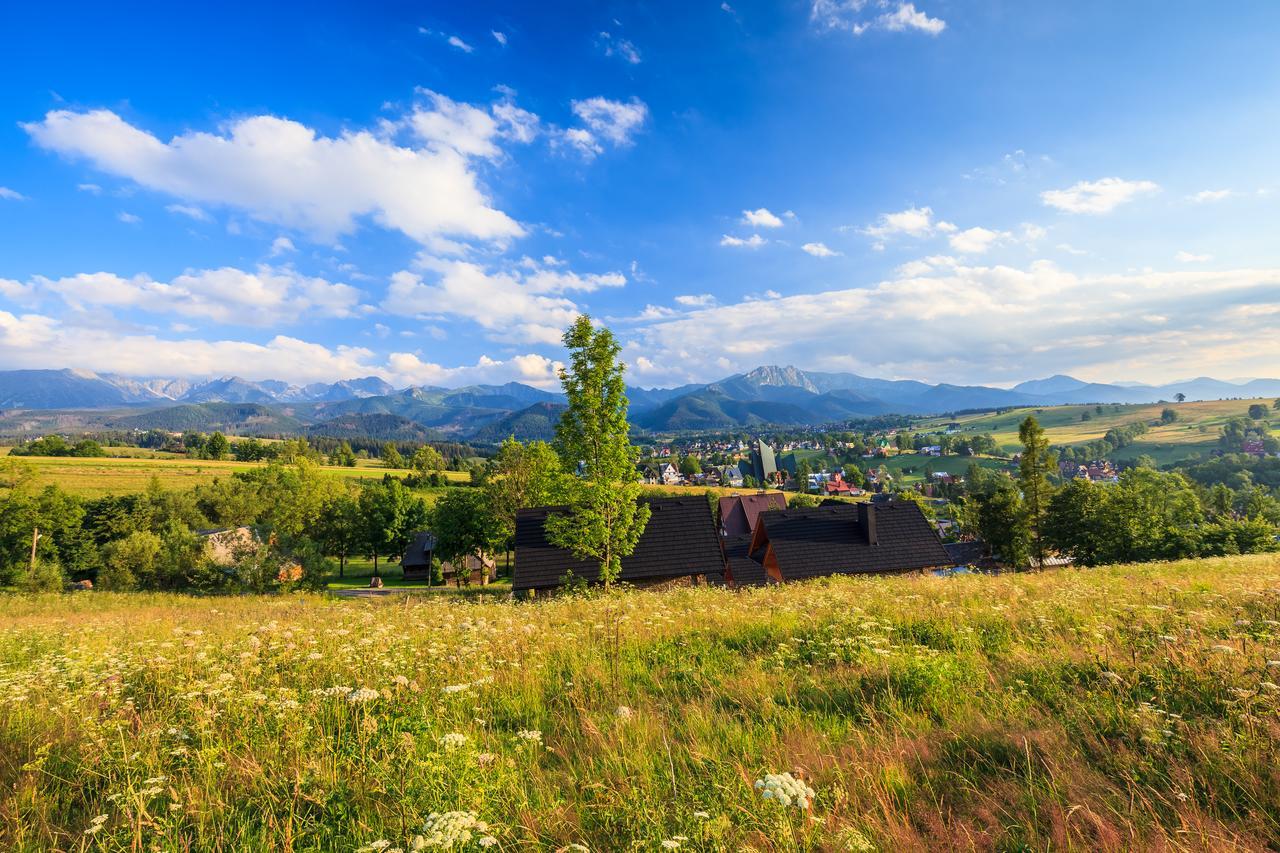 Domki Tatrzanski Ogrod Regional Houses Zakopane Exterior photo