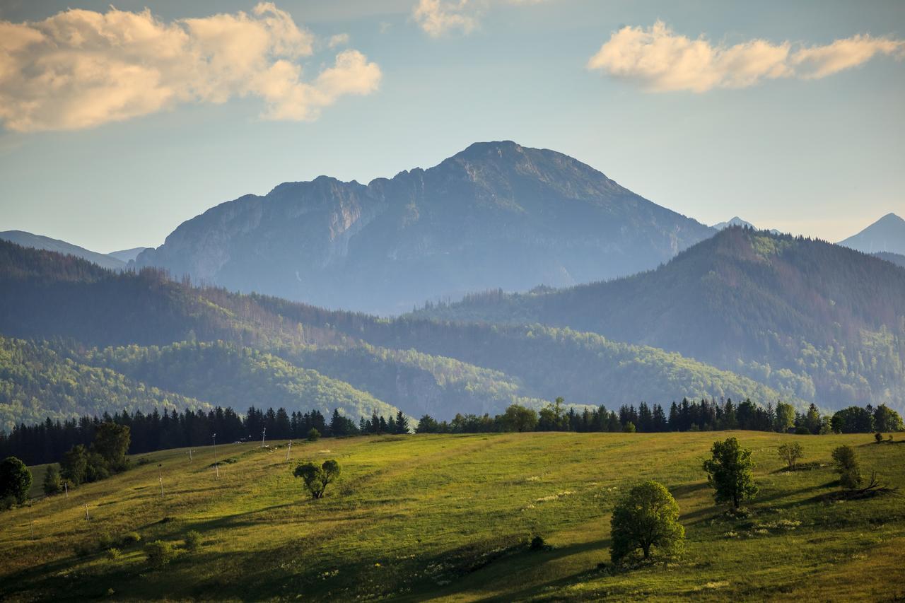 Domki Tatrzanski Ogrod Regional Houses Zakopane Exterior photo